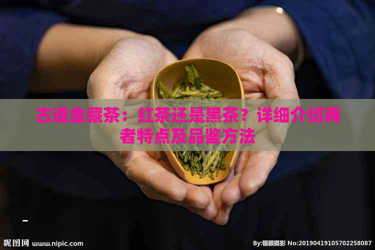 古道金藏茶：红茶还是黑茶？详细介绍两者特点及品鉴方法