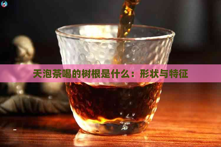 天泡茶喝的树根是什么：形状与特征