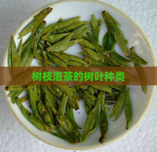 树枝泡茶的树叶种类