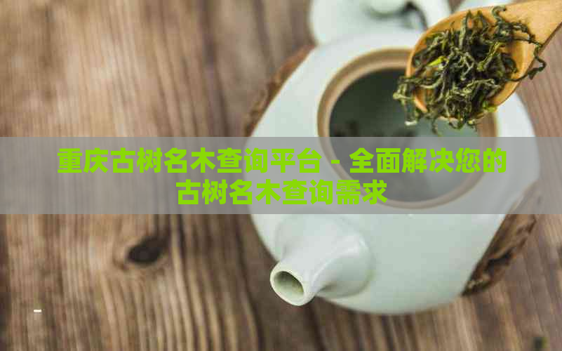 重庆古树名木查询平台 - 全面解决您的古树名木查询需求