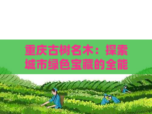 重庆古树名木：探索城市绿色宝藏的全能指南与互动平台