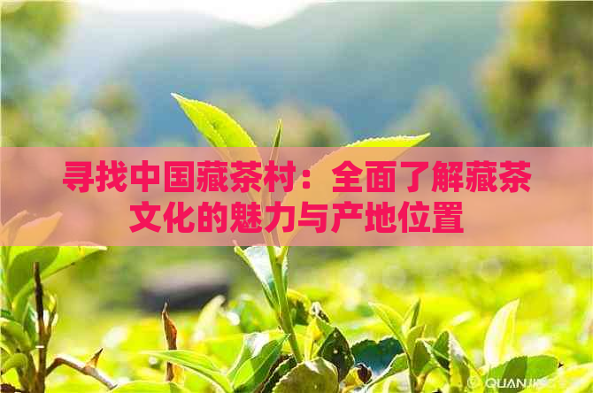 寻找中国藏茶村：全面了解藏茶文化的魅力与产地位置