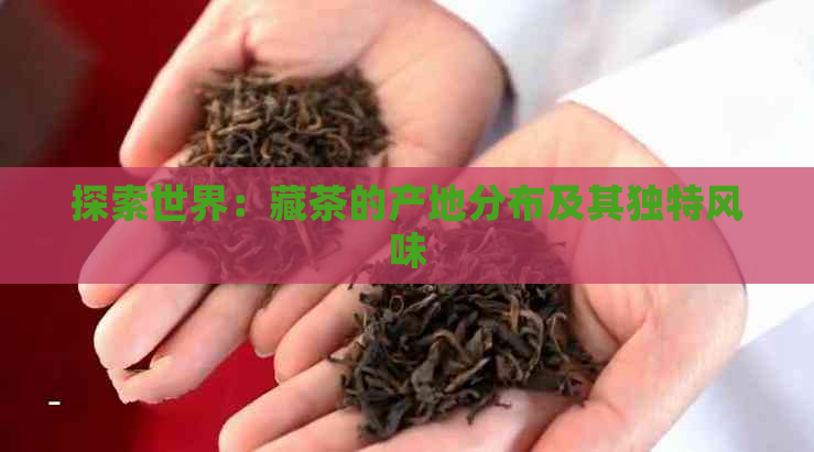 探索世界：藏茶的产地分布及其独特风味