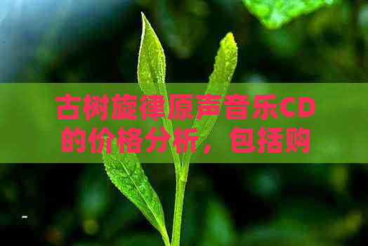 古树旋律原声音乐CD的价格分析，包括购买途径和市场行情