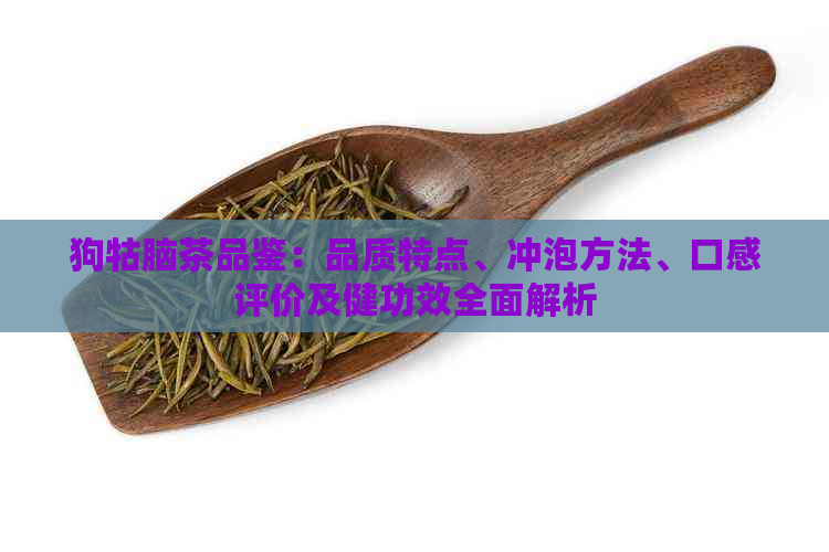 狗牯脑茶品鉴：品质特点、冲泡方法、口感评价及健功效全面解析