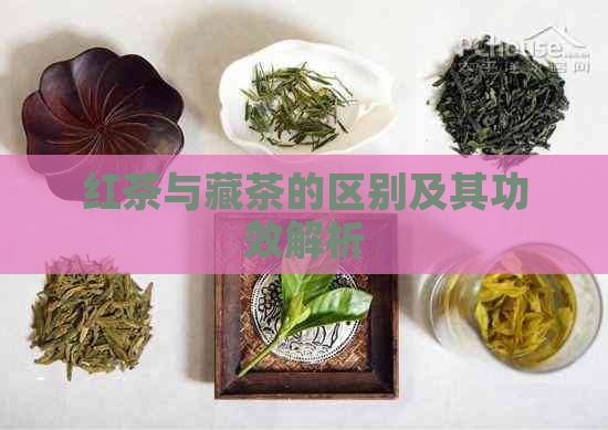 红茶与藏茶的区别及其功效解析