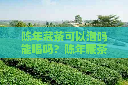 陈年藏茶可以泡吗能喝吗？陈年藏茶的功效与作用以及价格原因。