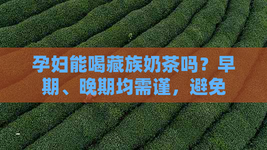 孕妇能喝藏族奶茶吗？早期、晚期均需谨，避免影响胎儿健。