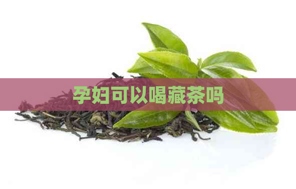 孕妇可以喝藏茶吗