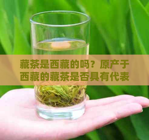 藏茶是     的吗？原产于     的藏茶是否具有代表性？