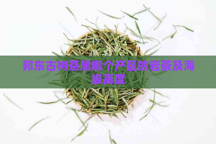 邦东古树茶属哪个产区的岩茶及海拔高度