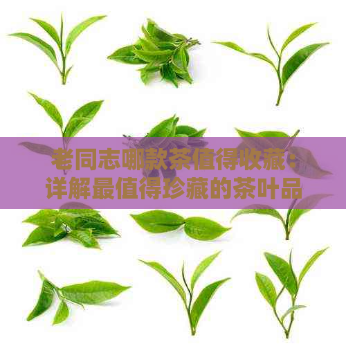 老同志哪款茶值得收藏：详解最值得珍藏的茶叶品种