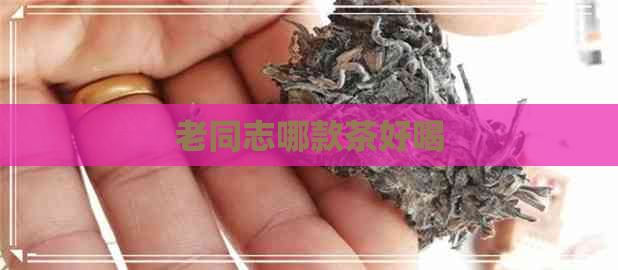 老同志哪款茶好喝