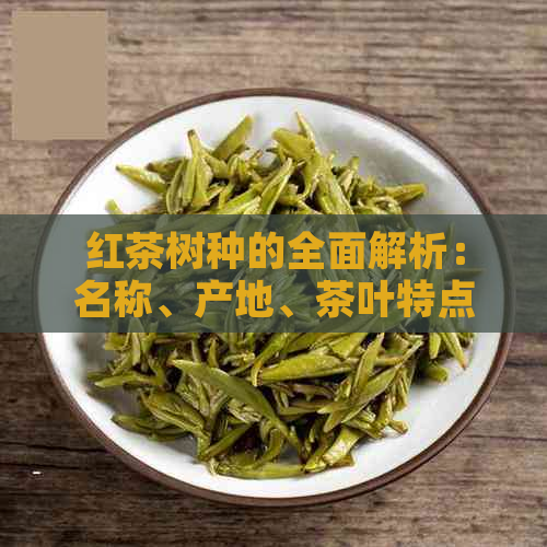 红茶树种的全面解析：名称、产地、茶叶特点及酿造方法