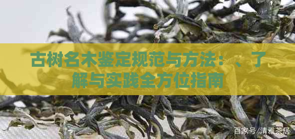 古树名木鉴定规范与方法：、了解与实践全方位指南