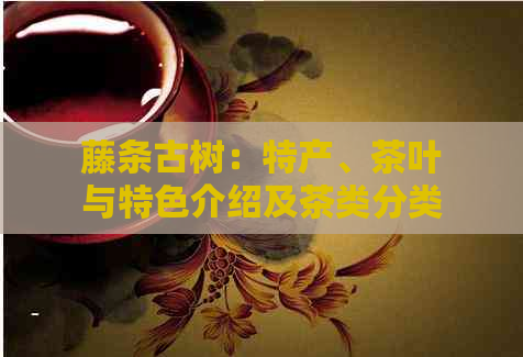 藤条古树：特产、茶叶与特色介绍及茶类分类