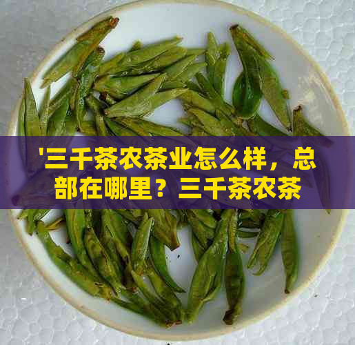 '三千茶农茶业怎么样，总部在哪里？三千茶农茶生活馆官网的产品如何？'