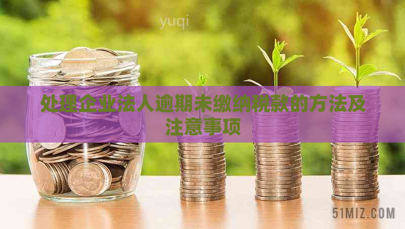 处理企业法人逾期未缴纳税款的方法及注意事项