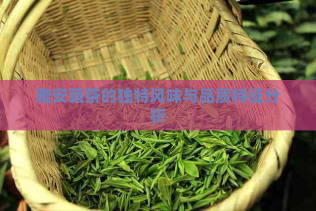 雅安藏茶的独特风味与品质特征分析