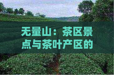 无量山：茶区景点与茶叶产区的综合性探讨