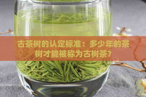 古茶树的认定标准：多少年的茶树才能被称为古树茶？