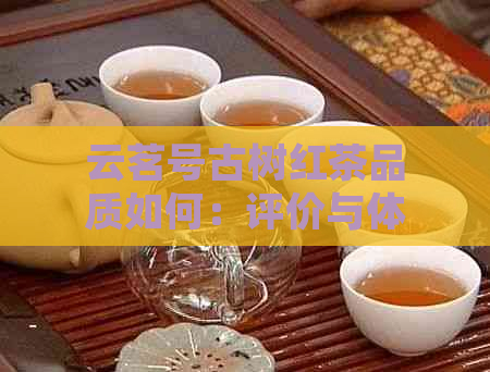 云茗号古树红茶品质如何：评价与体验