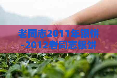 老同志2011年银饼-2012老同志银饼价格