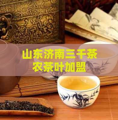 山东济南三千茶农茶叶加盟