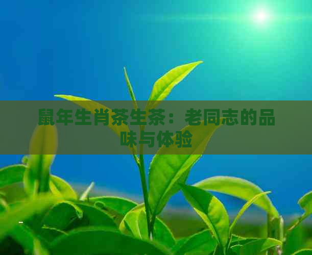 鼠年生肖茶生茶：老同志的品味与体验