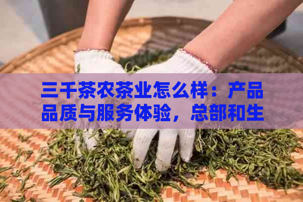 三千茶农茶业怎么样：产品品质与服务体验，总部和生活馆信息解析