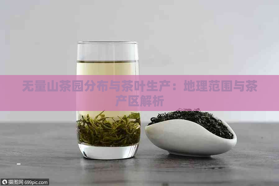 无量山茶园分布与茶叶生产：地理范围与茶产区解析