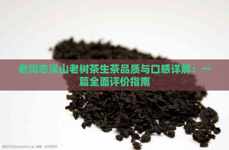 老同志深山老树茶生茶品质与口感详解：一篇全面评价指南