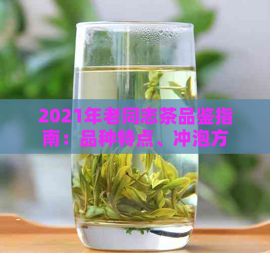 2021年老同志茶品鉴指南：品种特点、冲泡方法和品饮技巧一应俱全