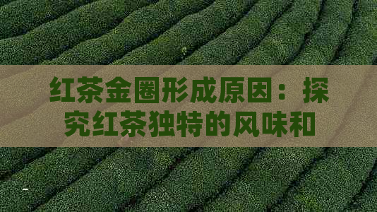 红茶金圈形成原因：探究红茶独特的风味和品质形成的因素。