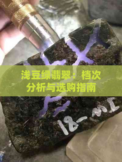 浅豆绿翡翠：档次分析与选购指南