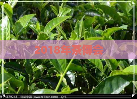 2018年茶博会