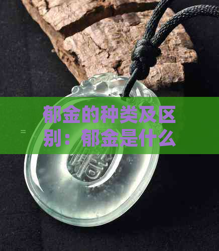 郁金的种类及区别：郁金是什么？又叫什么名字？管什么用的？是一种药吗？