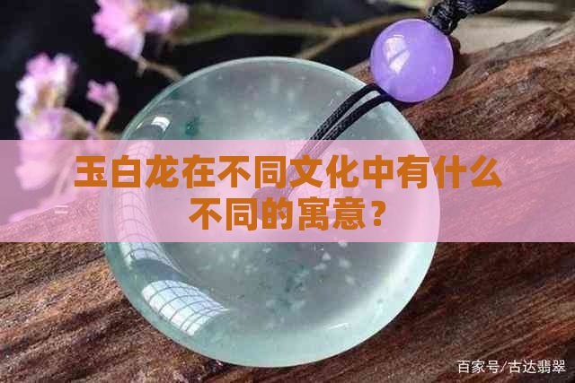 玉白龙在不同文化中有什么不同的寓意？