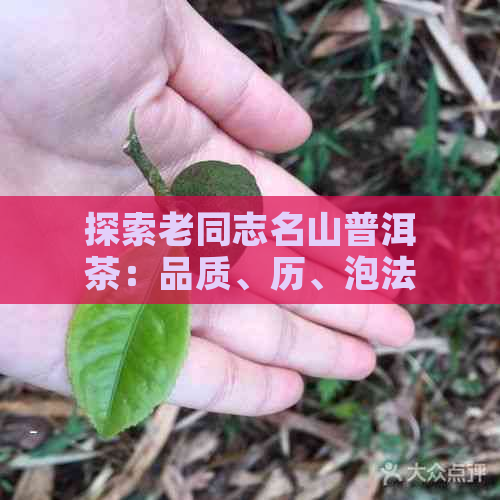 探索老同志名山普洱茶：品质、历、泡法与品鉴全解析