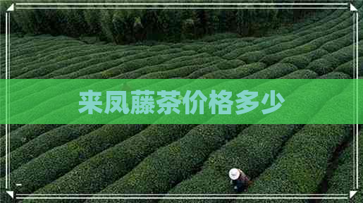 来凤藤茶价格多少