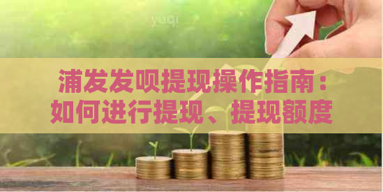 浦发发呗提现操作指南：如何进行提现、提现额度限制以及提现手续费详解