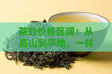 茶的价格区间：从高山到平地，一杯茶叶的定价探讨