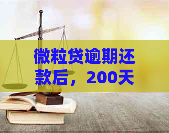 微粒贷逾期还款后，200天未还：再次借款的可能性及注意事项