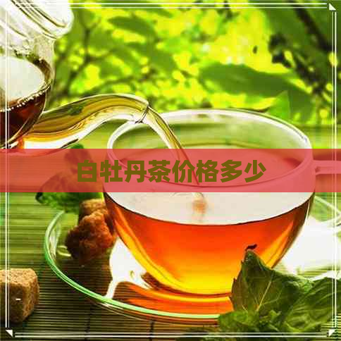 白牡丹茶价格多少