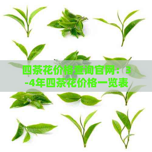 四茶花价格查询官网：3-4年四茶花价格一览表