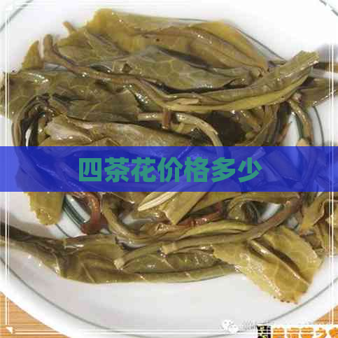 四茶花价格多少