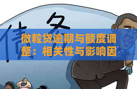 微粒贷逾期与额度调整：相关性与影响因素分析