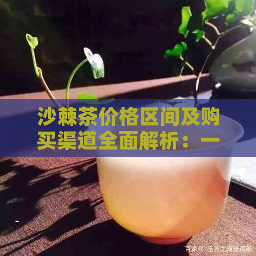 沙棘茶价格区间及购买渠道全面解析：一斤多少钱？哪里可以买到？