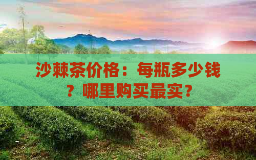 沙棘茶价格：每瓶多少钱？哪里购买最实？