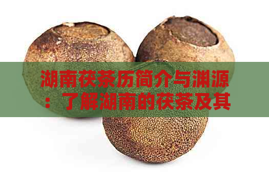 湖南茯茶历简介与渊源：了解湖南的茯茶及其所属茶类